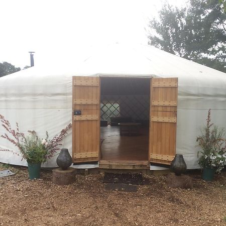 Silver Airstream Glamping & Rental Chichester Esterno foto