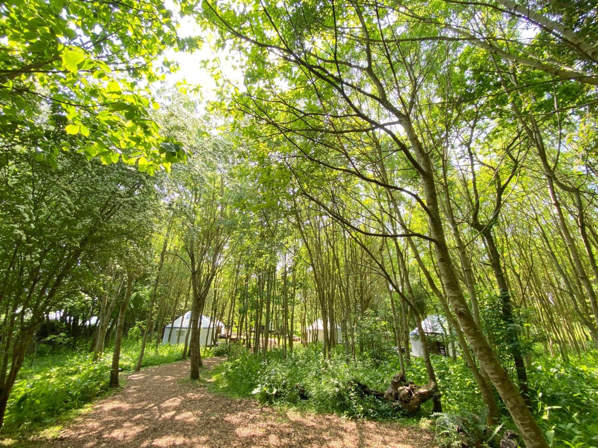 Silver Airstream Glamping & Rental Chichester Esterno foto